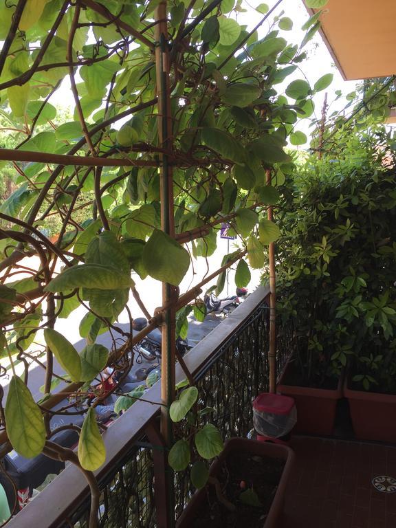 Bed and Breakfast La Fontana Di Carlotta Roma Exterior foto